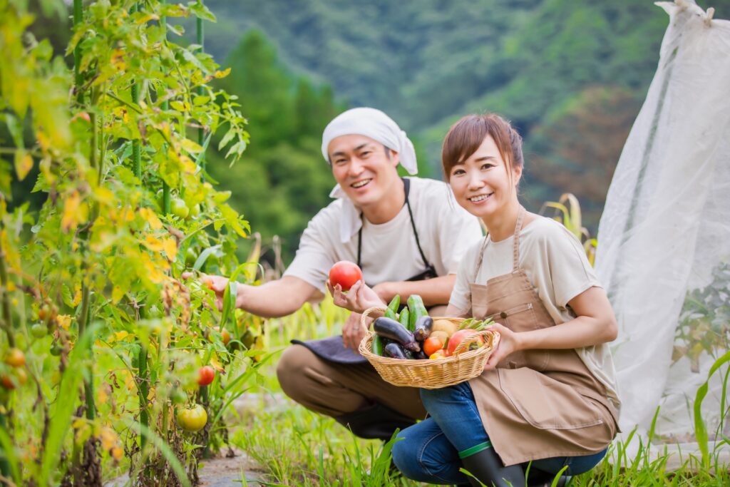 シェア畑は家庭菜園初心者にこそおススメ