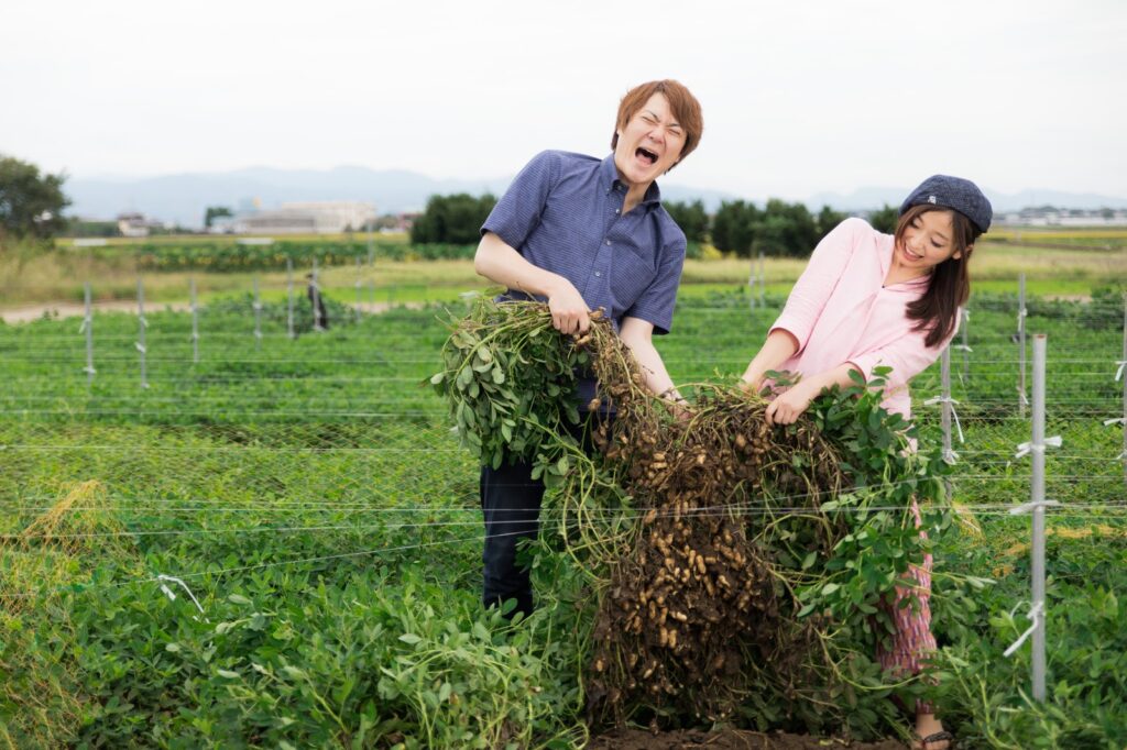 野菜を栽培する場所はどうやって見つけるか