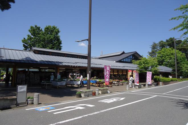 道中の醍醐味！「道の駅・地産地消」グルメ調達術