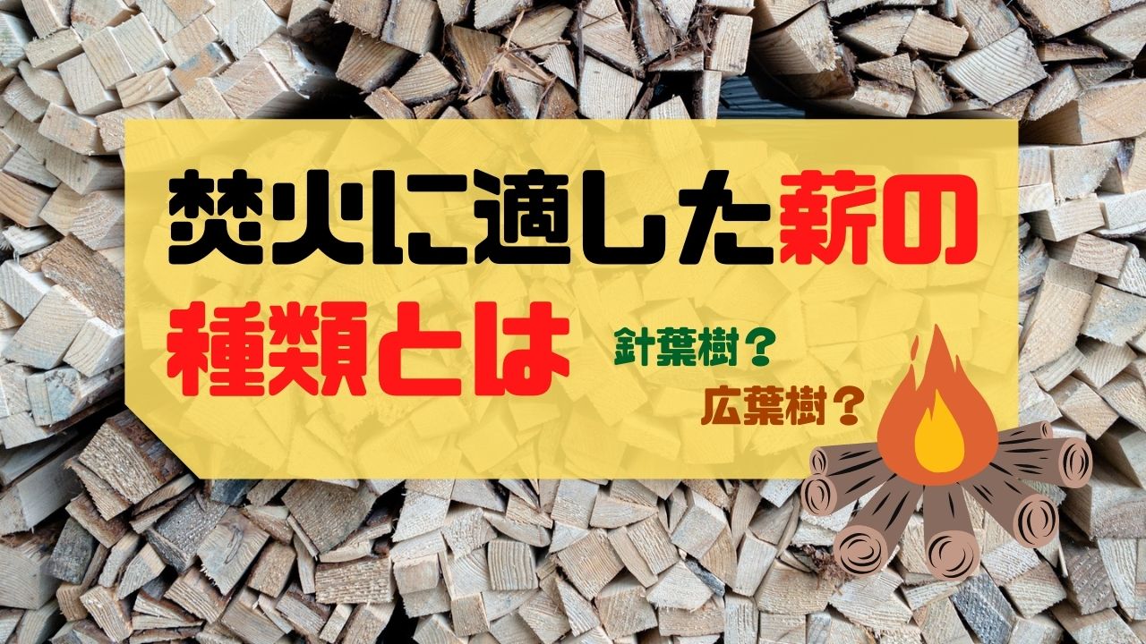 針葉樹 広葉樹 焚火に適した薪の種類とは アウトドアライフ