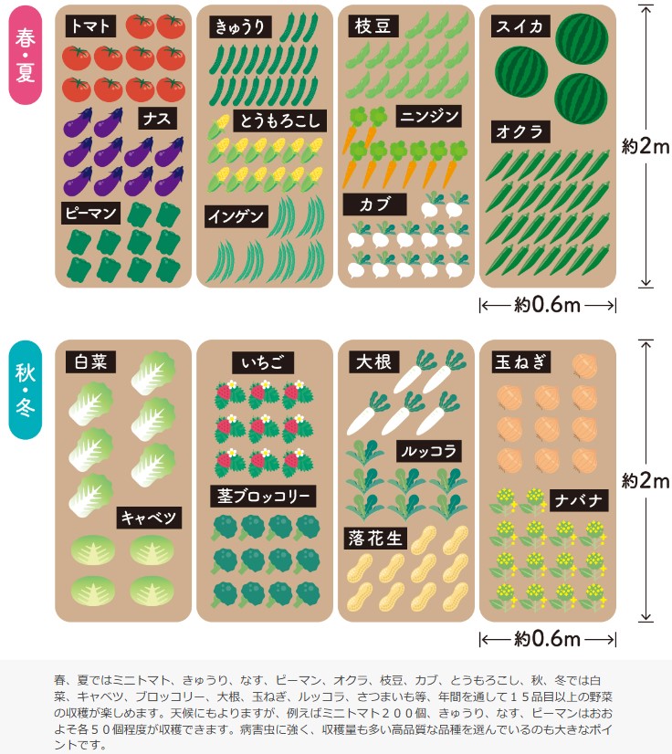 シェア畑の広さは？どれくらいの野菜を育てられる？