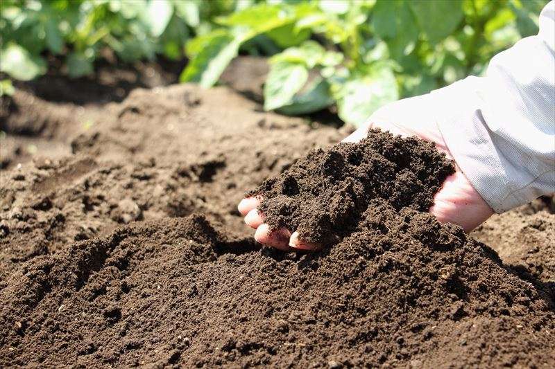 植え付けの準備をしよう(場所・土作り)
